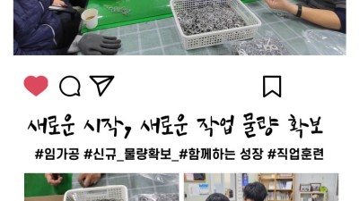 새로운 시작, 새로운 기회