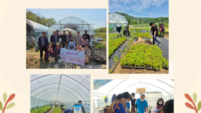 새뜰농장 겨울맞이 하우스 정리